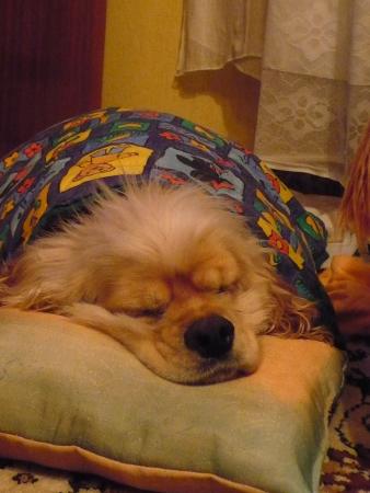 Прикачена снимка