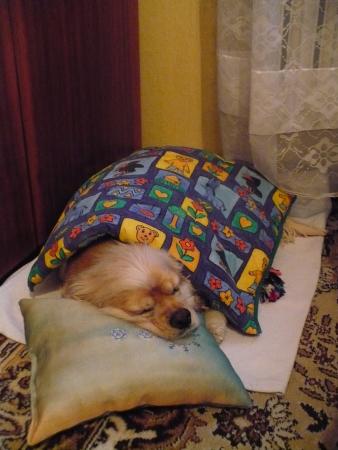 Прикачена снимка