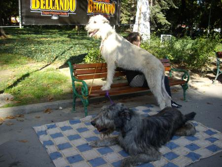 Прикачена снимка