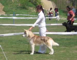 Прикачена снимка