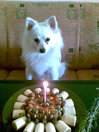 Прикачена снимка
