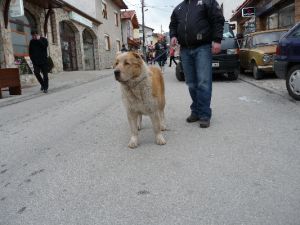 Прикачена снимка