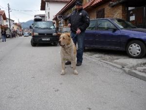 Прикачена снимка