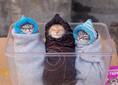 Прикачена снимка