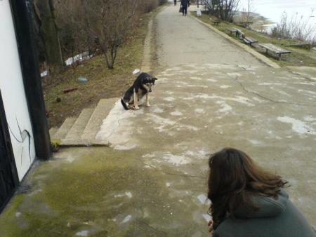 Прикачена снимка