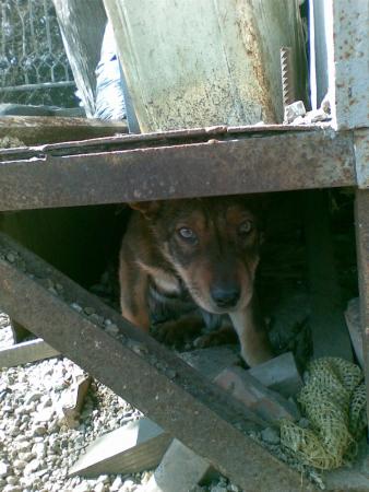 Прикачена снимка