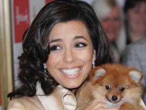 Прикачена снимка