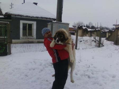 Прикачена снимка