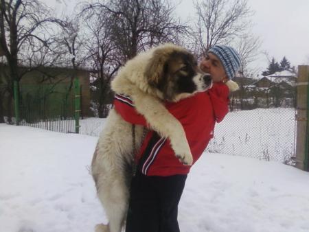 Прикачена снимка