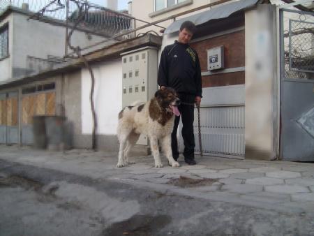 Прикачена снимка