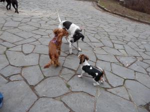 Прикачена снимка