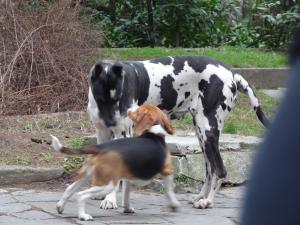 Прикачена снимка