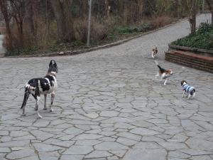 Прикачена снимка