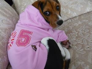 Прикачена снимка
