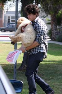 Прикачена снимка