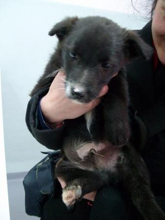 Прикачена снимка
