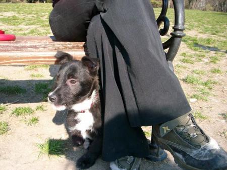 Прикачена снимка