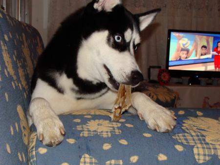 Прикачена снимка