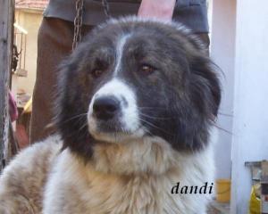 Прикачена снимка