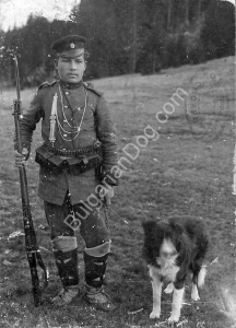 Прикачена снимка