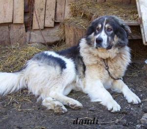 Прикачена снимка