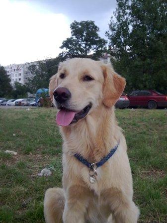 Прикачена снимка