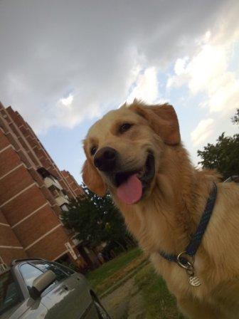 Прикачена снимка