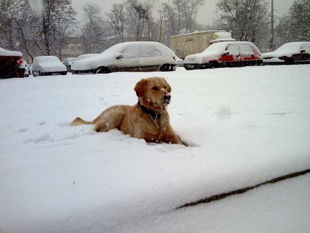 Прикачена снимка