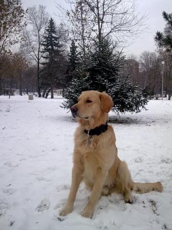 Прикачена снимка