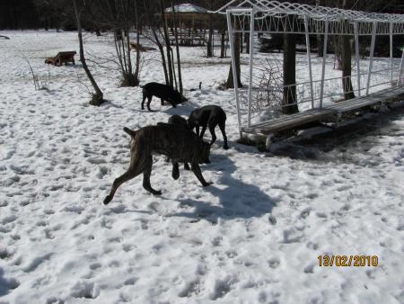 Прикачена снимка