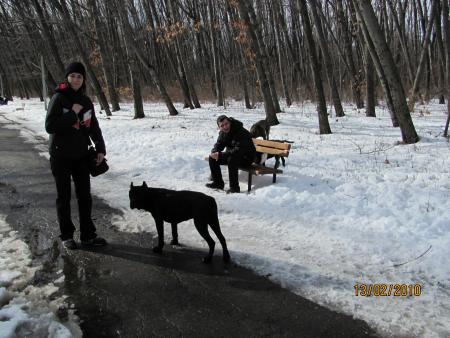 Прикачена снимка