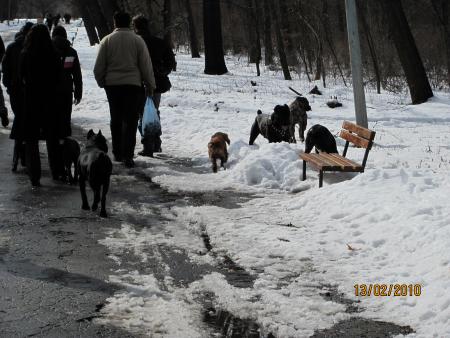 Прикачена снимка