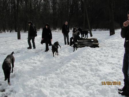 Прикачена снимка
