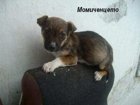 Прикачена снимка