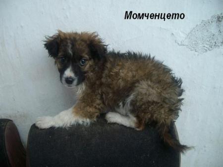 Прикачена снимка