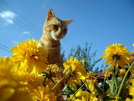 Прикачена снимка