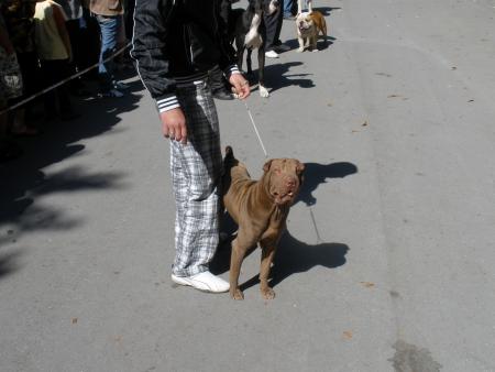 Прикачена снимка