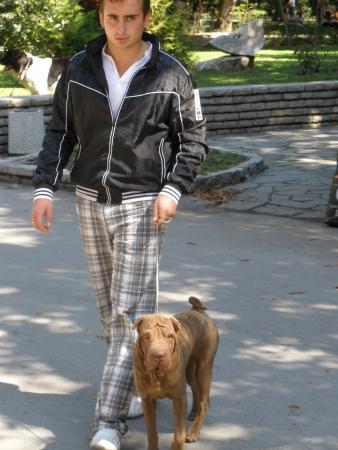 Прикачена снимка