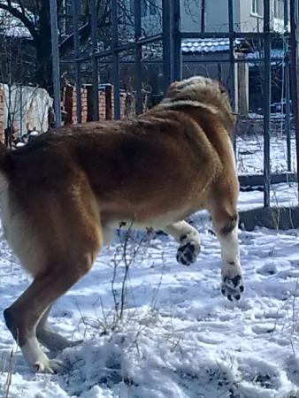 Прикачена снимка