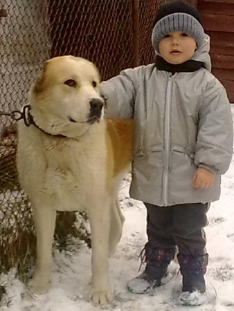 Прикачена снимка
