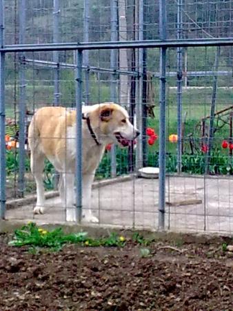 Прикачена снимка