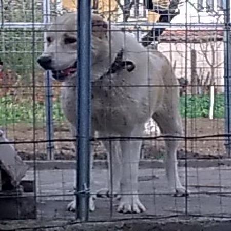 Прикачена снимка