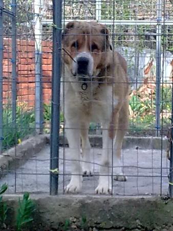 Прикачена снимка