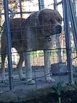 Прикачена снимка