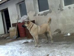 Прикачена снимка