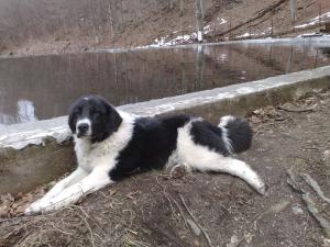 Прикачена снимка