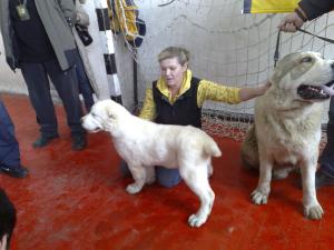 Прикачена снимка