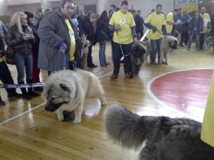 Прикачена снимка