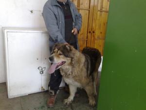 Прикачена снимка