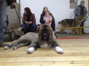 Прикачена снимка